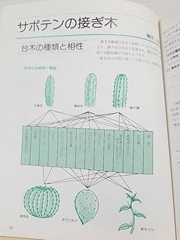 Amazon.co.jp: 図解 サボテン作り 東京カクタスクラブ編 : おもちゃ